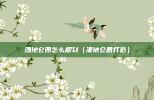 湿地公园怎么规划(湿地公园打造)
