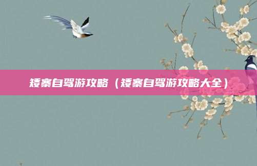 矮寨自驾游攻略(矮寨自驾游攻略大全)