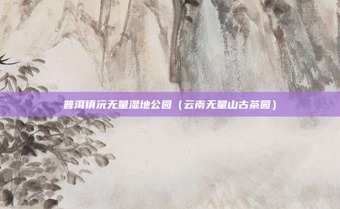 普洱镇沅无量湿地公园(云南无量山古茶园)