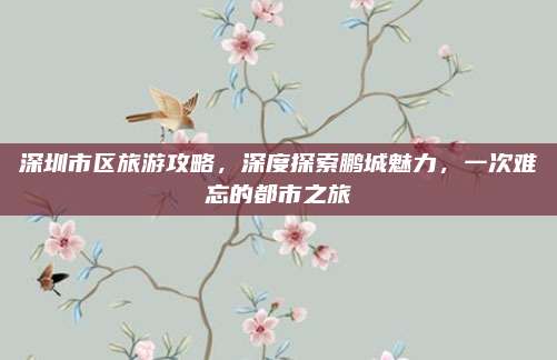 深圳市区旅游攻略，深度探索鹏城魅力，一次难忘的都市之旅
