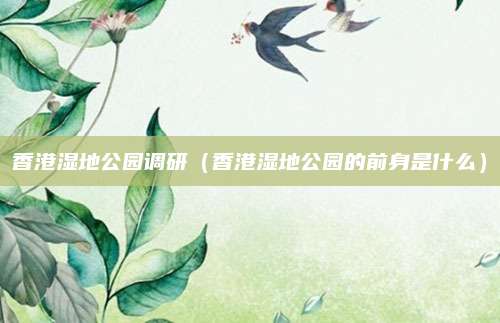 香港湿地公园调研（香港湿地公园的前身是什么）