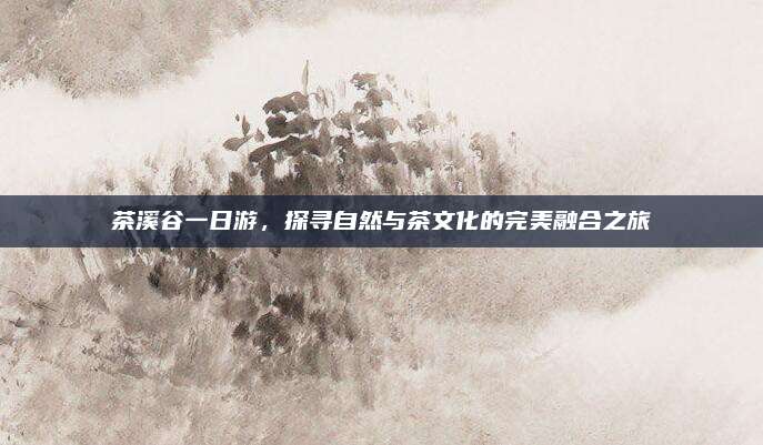茶溪谷一日游，探寻自然与茶文化的完美融合之旅