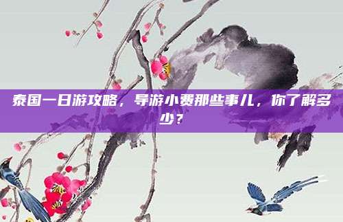 泰国一日游攻略，导游小费那些事儿，你了解多少？