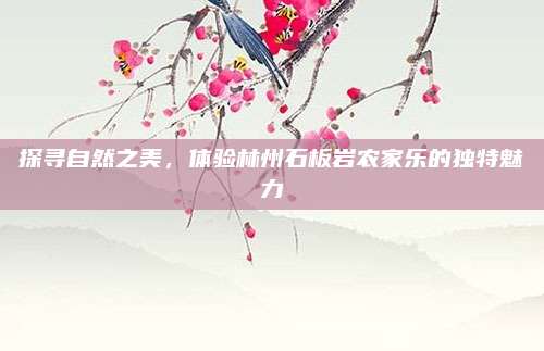 探寻自然之美，体验林州石板岩农家乐的独特魅力
