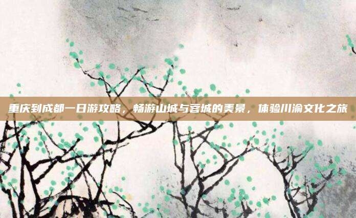 重庆到成都一日游攻略,畅游山城与蓉城的美景,体验川渝文化之旅