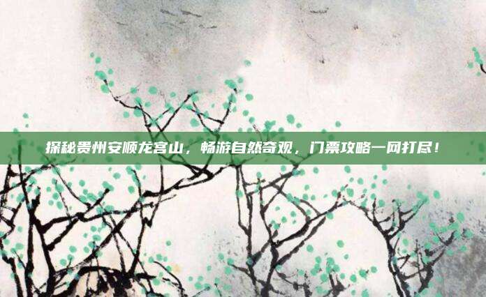 探秘贵州安顺龙宫山,畅游自然奇观,门票攻略一网打尽!