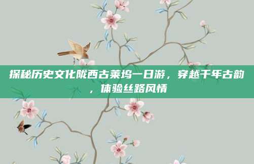 探秘历史文化陇西古莱坞一日游，穿越千年古韵，体验丝路风情