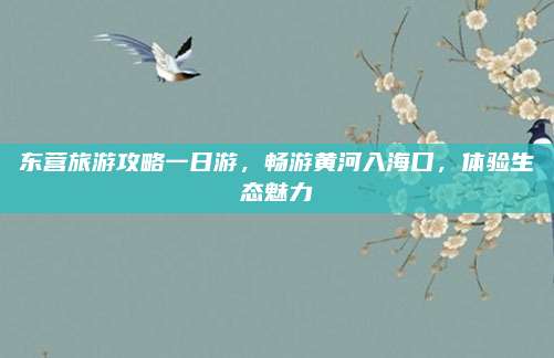 东营旅游攻略一日游,畅游黄河入海口,体验生态魅力