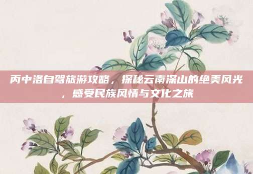 丙中洛自驾旅游攻略，探秘云南深山的绝美风光，感受民族风情与文化之旅
