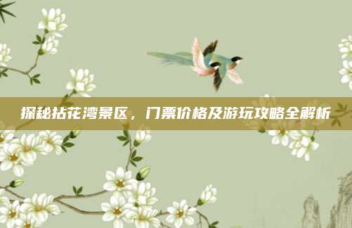 探秘拈花湾景区,门票价格及游玩攻略全解析