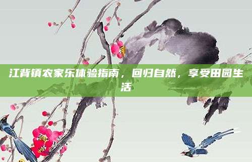 江背镇农家乐体验指南,回归自然,享受田园生活