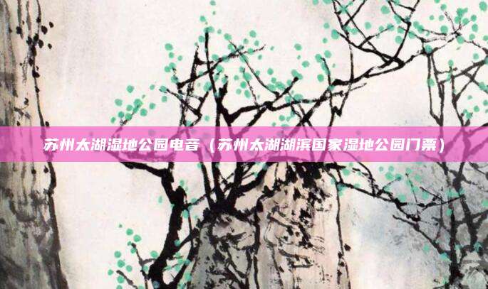 苏州太湖湿地公园电音(苏州太湖湖滨国家湿地公园门票)