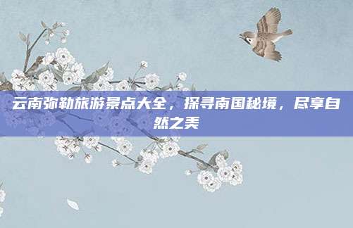 云南弥勒旅游景点大全，探寻南国秘境，尽享自然之美
