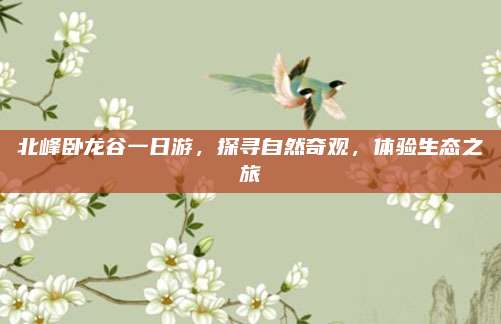 北峰卧龙谷一日游,探寻自然奇观,体验生态之旅