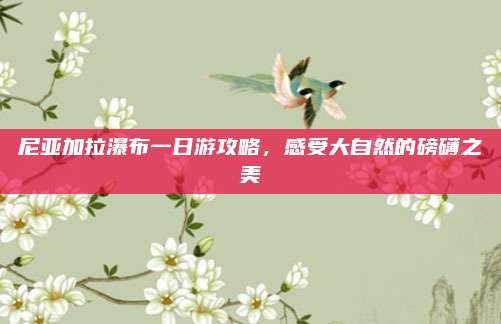 尼亚加拉瀑布一日游攻略，感受大自然的磅礴之美