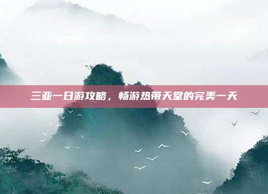 三亚一日游攻略，畅游热带天堂的完美一天