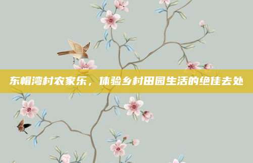 东帽湾村农家乐,体验乡村田园生活的绝佳去处