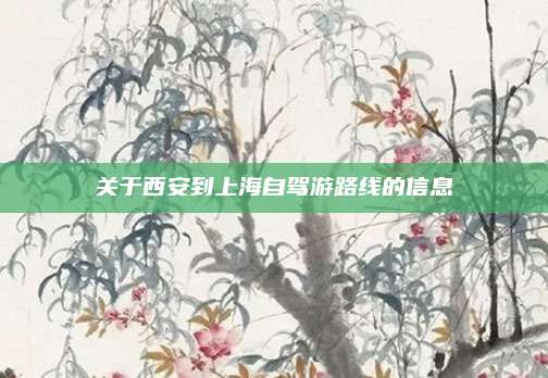 关于西安到上海自驾游路线的信息