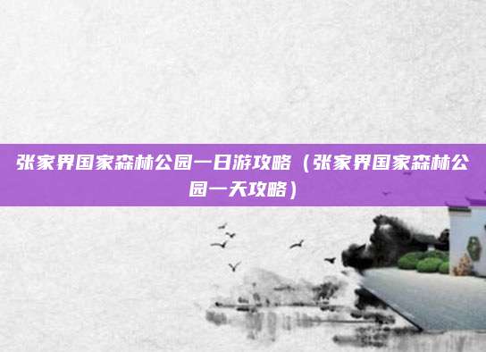 张家界国家森林公园一日游攻略（张家界国家森林公园一天攻略）