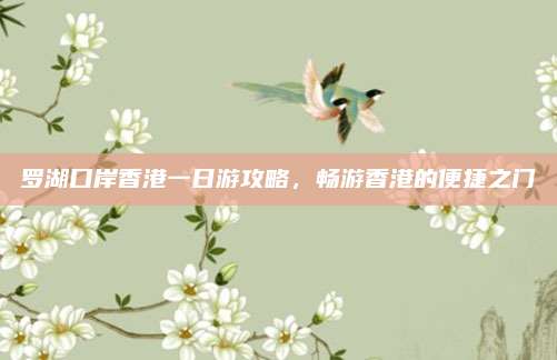 罗湖口岸香港一日游攻略，畅游香港的便捷之门