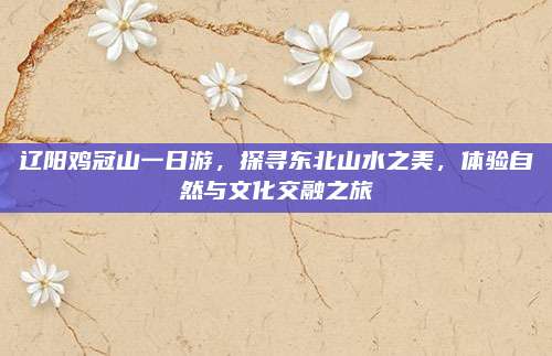 辽阳鸡冠山一日游,探寻东北山水之美,体验自然与文化交融之旅