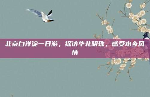 北京白洋淀一日游,探访华北明珠,感受水乡风情
