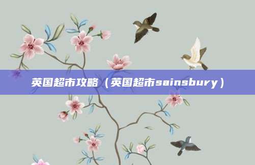 英国超市攻略(英国超市sainsbury)