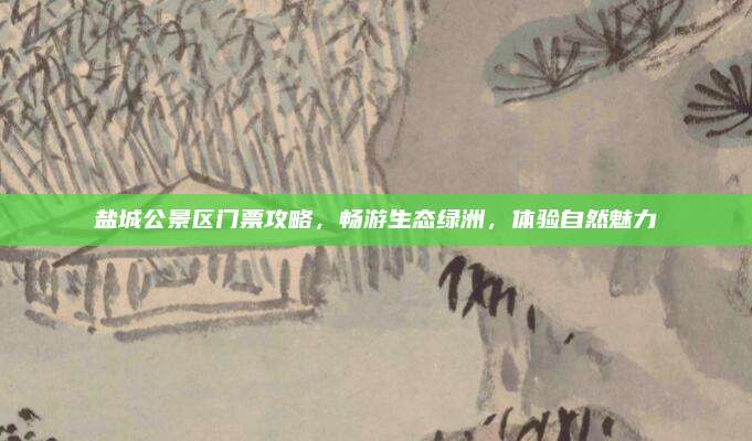 盐城公景区门票攻略,畅游生态绿洲,体验自然魅力