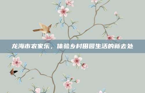龙海市农家乐,体验乡村田园生活的新去处