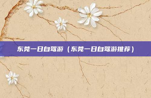 东莞一日自驾游(东莞一日自驾游推荐)