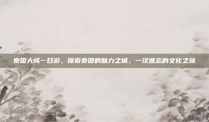 泰国大成一日游,探索泰国的魅力之城,一次难忘的文化之旅