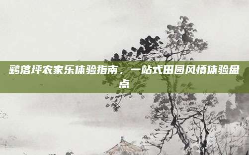 鹞落坪农家乐体验指南,一站式田园风情体验盘点