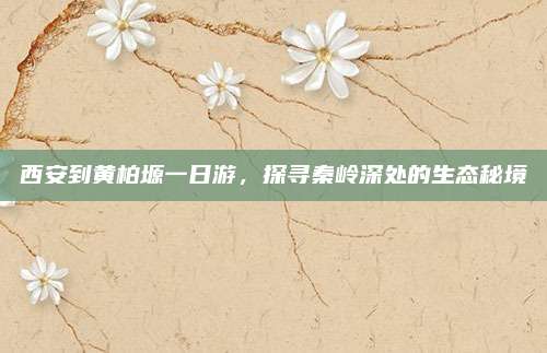 西安到黄柏塬一日游,探寻秦岭深处的生态秘境
