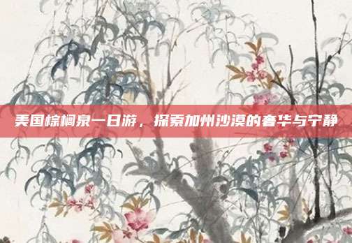 美国棕榈泉一日游,探索加州沙漠的奢华与宁静