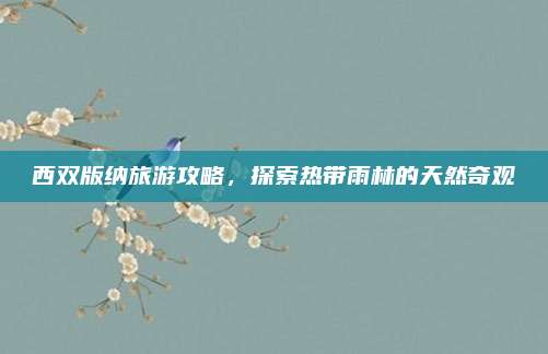西双版纳旅游攻略,探索热带雨林的天然奇观