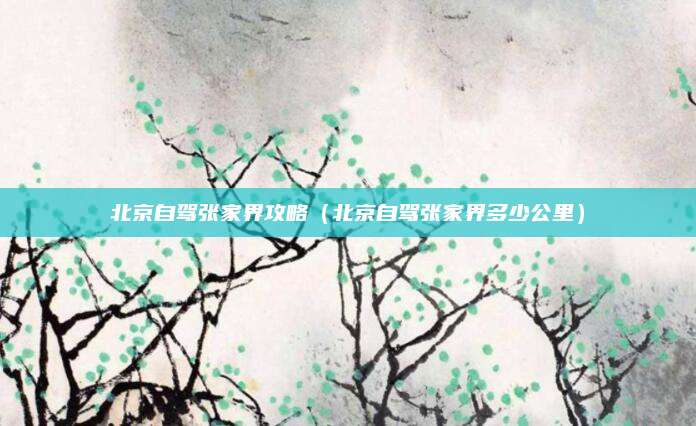 北京自驾张家界攻略（北京自驾张家界多少公里）