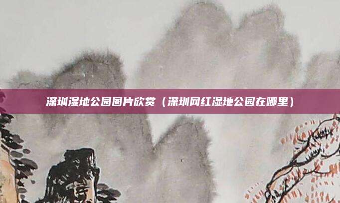 深圳湿地公园图片欣赏（深圳网红湿地公园在哪里）