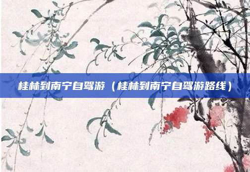 桂林到南宁自驾游（桂林到南宁自驾游路线）