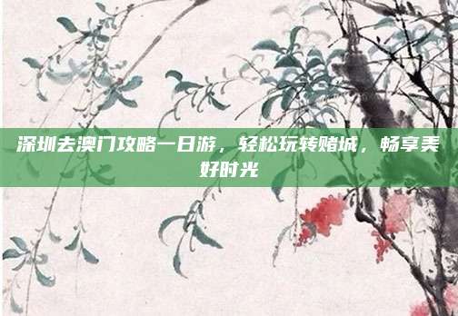 深圳去澳门攻略一日游,轻松玩转赌城,畅享美好时光