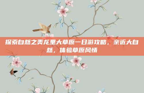探索自然之美龙里大草原一日游攻略,亲近大自然,体验草原风情