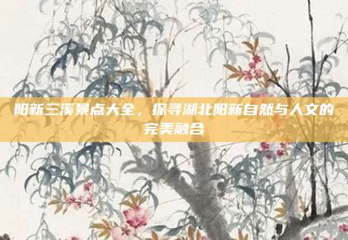 阳新三溪景点大全，探寻湖北阳新自然与人文的完美融合