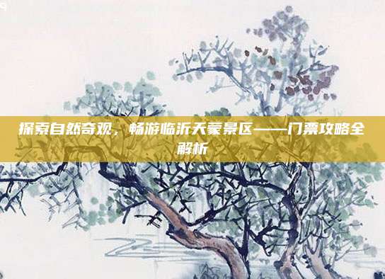 探索自然奇观，畅游临沂天蒙景区——门票攻略全解析