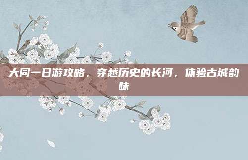 大同一日游攻略，穿越历史的长河，体验古城韵味