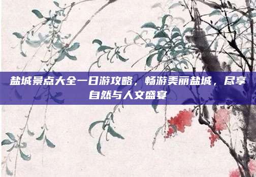 盐城景点大全一日游攻略，畅游美丽盐城，尽享自然与人文盛宴