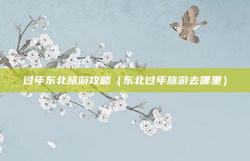 过年东北旅游攻略（东北过年旅游去哪里）