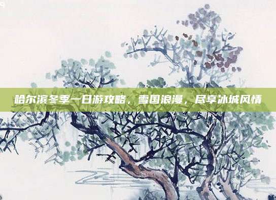 哈尔滨冬季一日游攻略,雪国浪漫,尽享冰城风情