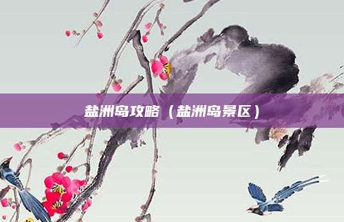 盐洲岛攻略(盐洲岛景区)