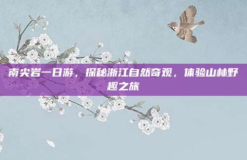 南尖岩一日游,探秘浙江自然奇观,体验山林野趣之旅