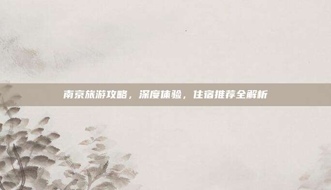 南京旅游攻略，深度体验，住宿推荐全解析