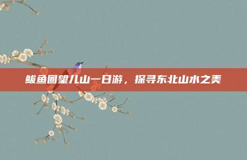 鲅鱼圈望儿山一日游，探寻东北山水之美